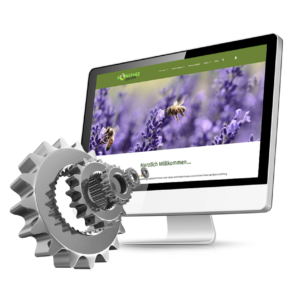 Vereins-Website einrichten