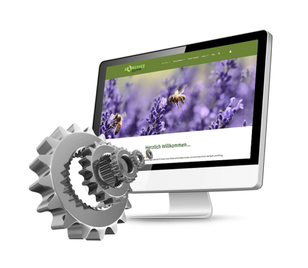 Vereins-Website einrichten